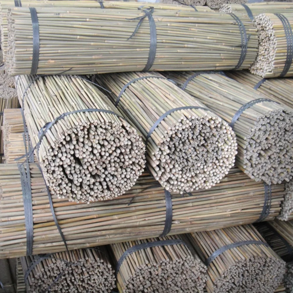 Bamboo Raw Materials Bamboo Cane Bamboo Pole For Plant - Buy Bamboo ...