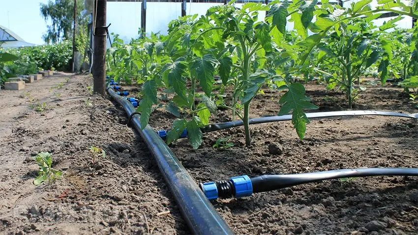 irrigation switchbar