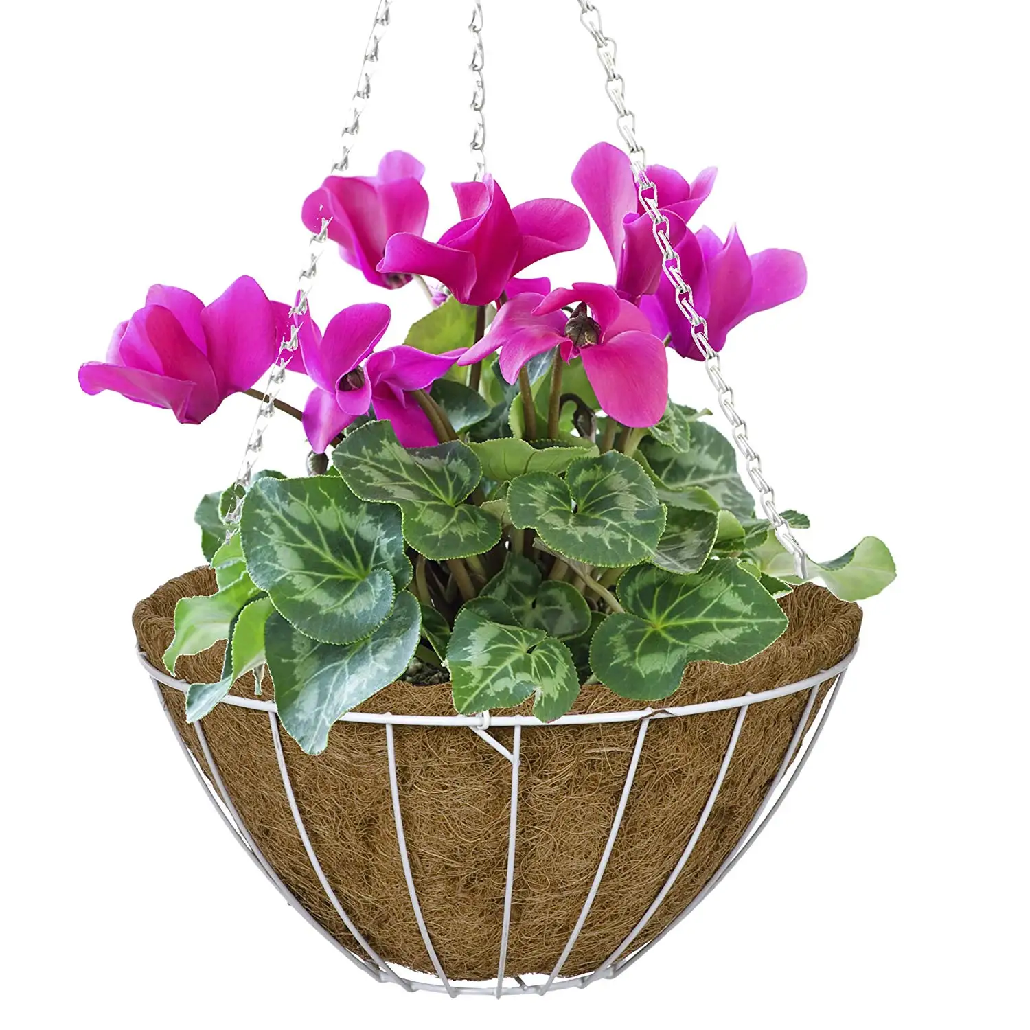 Cheap White Hanging Basket Bracket, find White Hanging Basket Bracket deals on line at