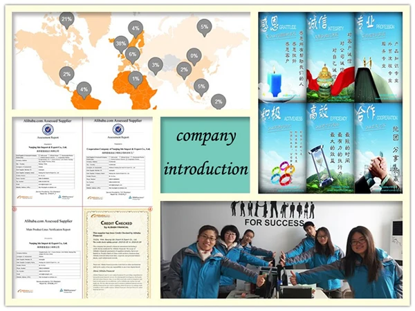 company introduction.jpg