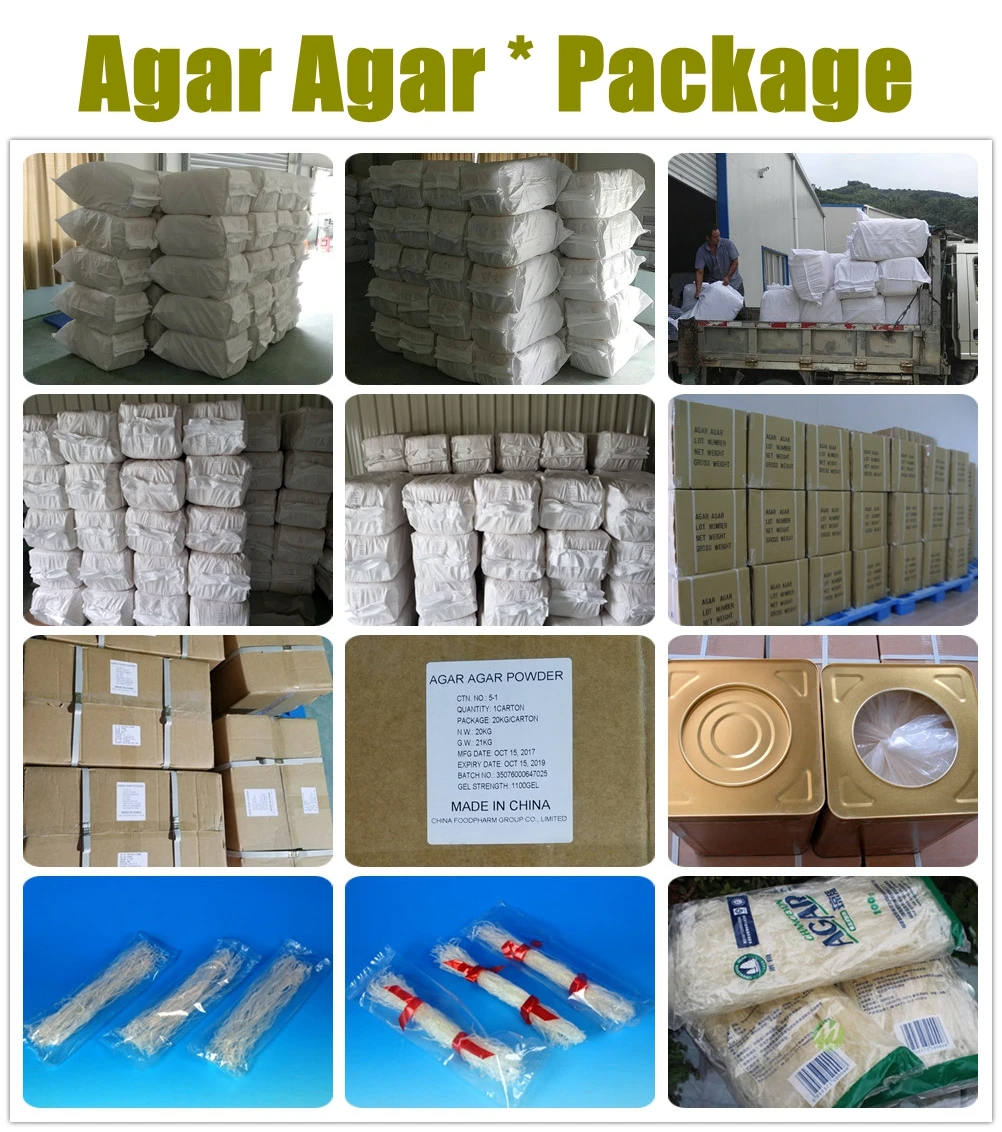 agar agar (87).jpg