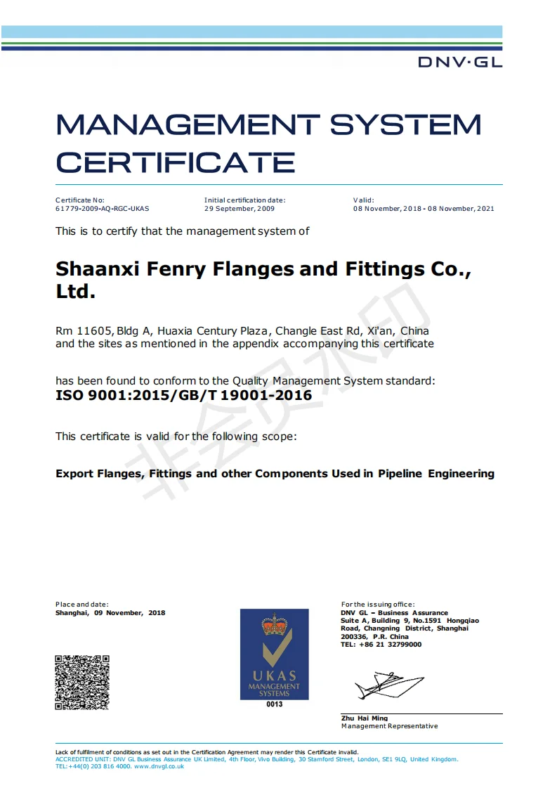 Fenry ISO Certificate_.png