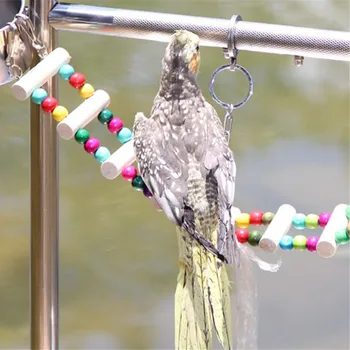 bird toys and accessories