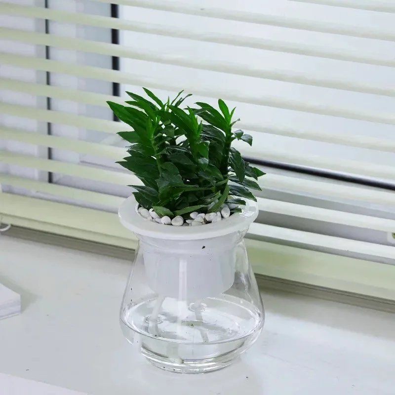 Polyester Water Wicks For Plants Buy Water For Injection Plant