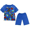 New Arrival T-Shirt + Shorts Baby Children Sets Boys Clothes Summer Boutique Outfits Factory Direct Cheap Sell kids clothes boys