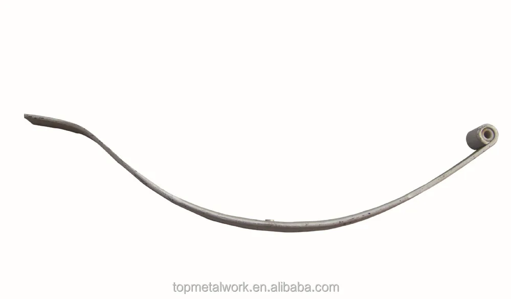 Parabolic SPring.JPG