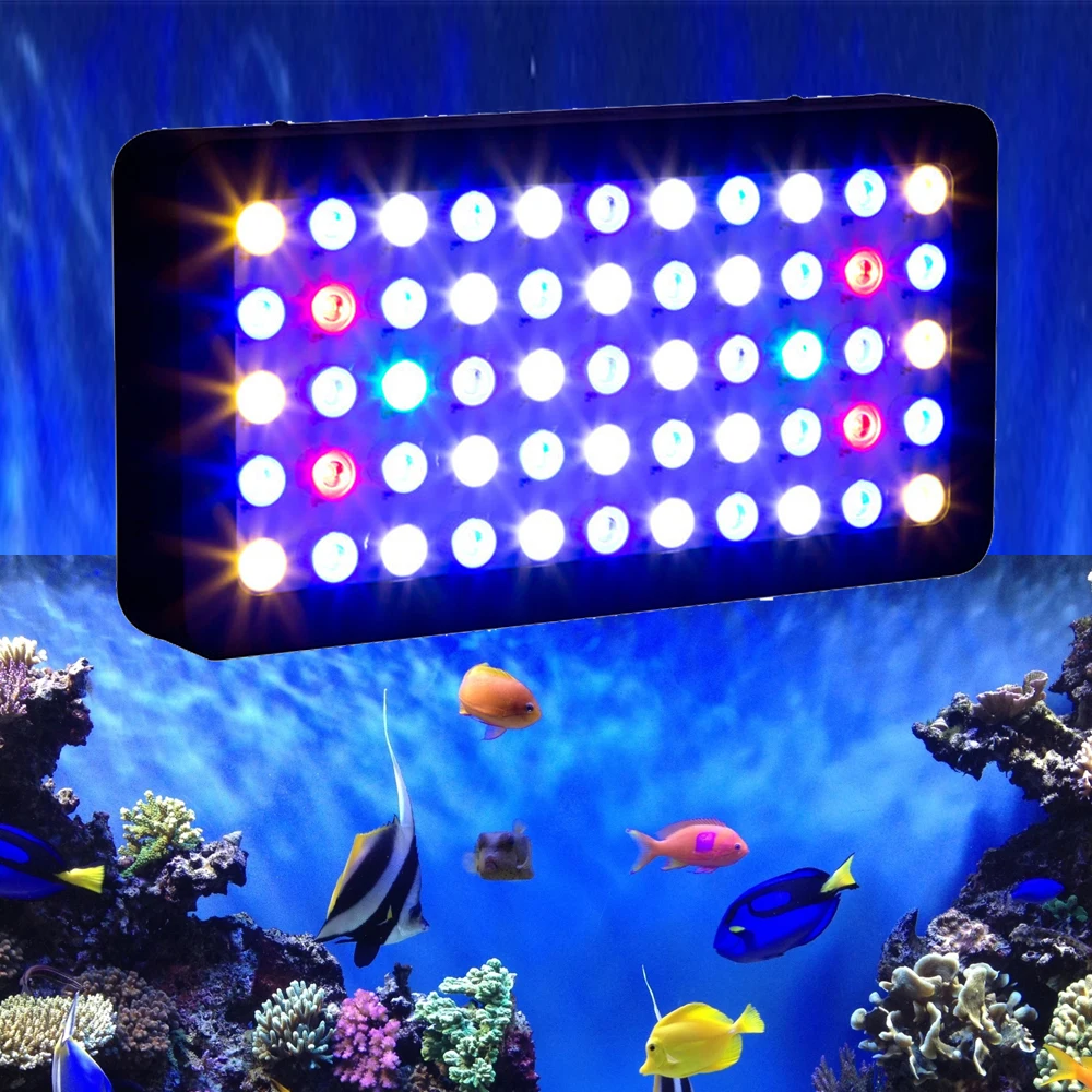 2020 Amazon new arrival dimming Sunrise Sunset Simulation Aquarium LED Lighting for Marine Plants