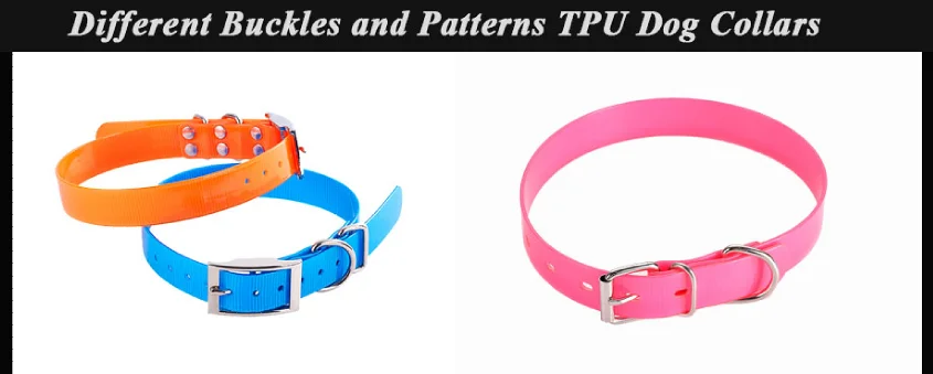 dog leashes and collars