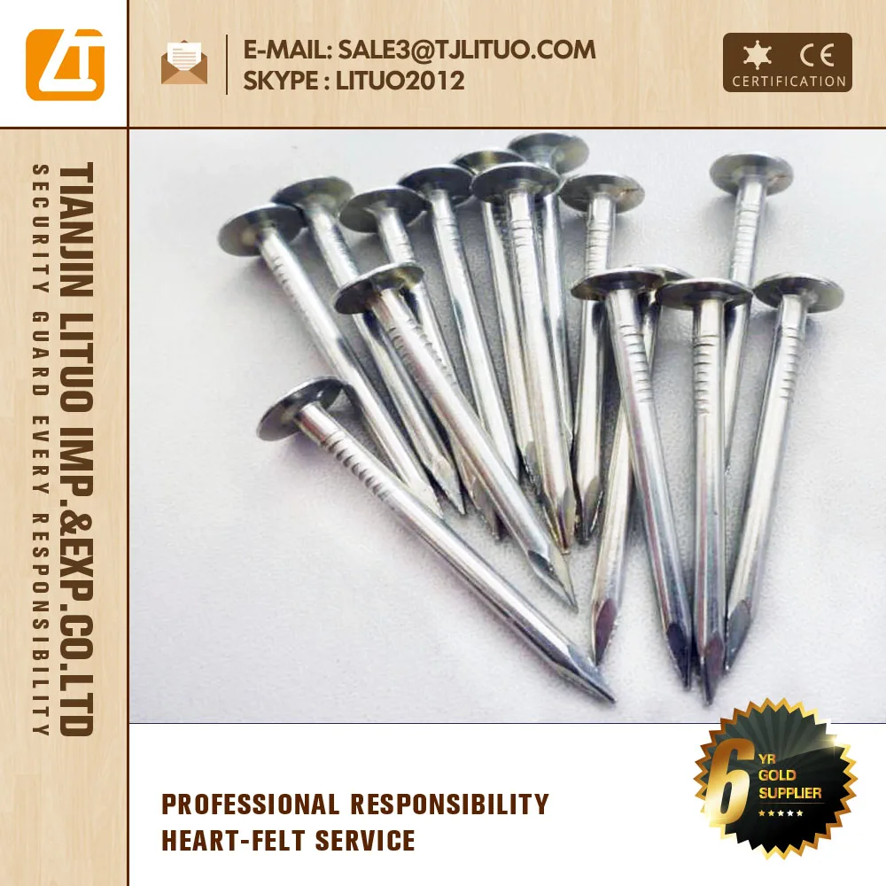 Galvanized Big Head Nail Round Big Head Nails Lead Head Nail Tianjin