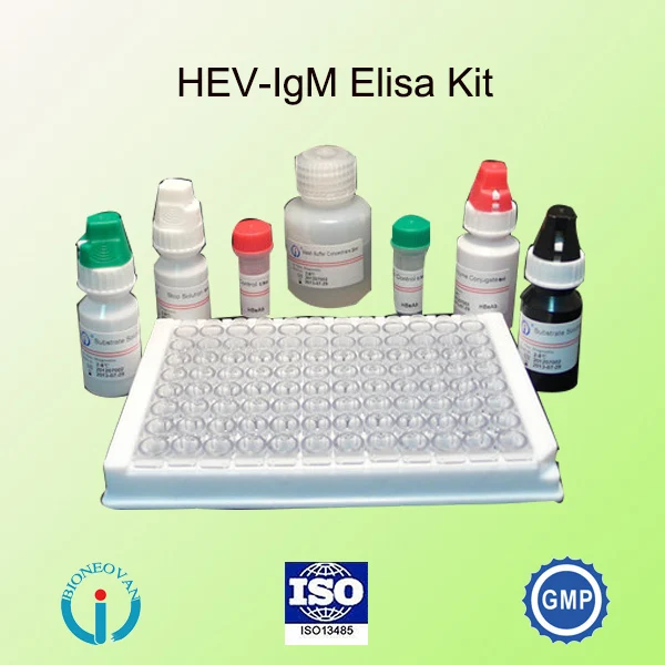 Hepatitis E Virus Hev Igm Elisa Kit,Vdrl Test Kit Hev Igm Elisa Kit