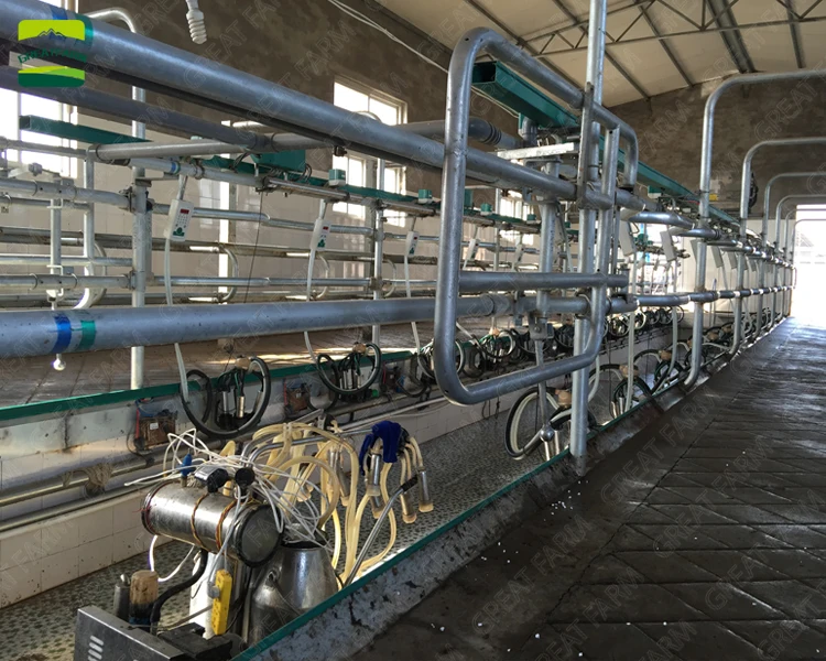 GREAT FARM modern design cattle farm construction cow farm building