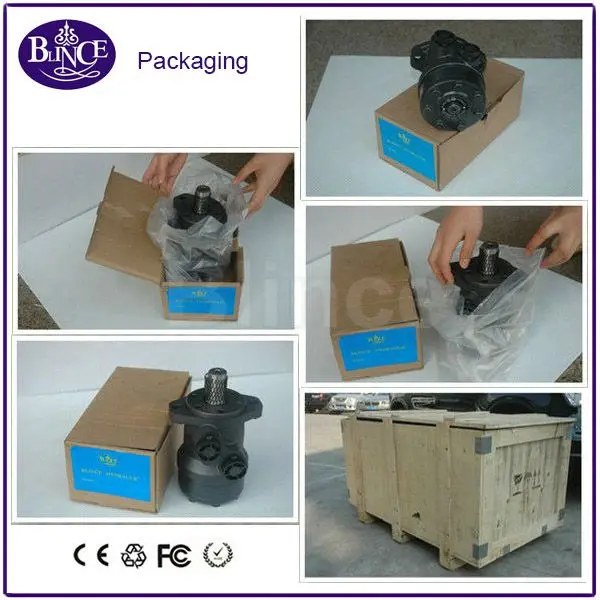hydraulic motor