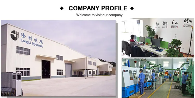 Chinese Manufacturer MG MK8G Rexroth type hydraulic throttle inline check valve