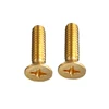 Direct factory price self tapping screw yellow brass drywall screw