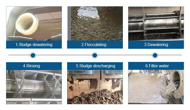 screw press separator
