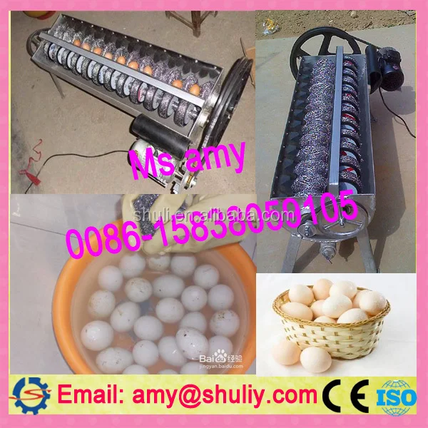 Great Working Effect Egg Washer Machine Egg Cleaning Machine Low