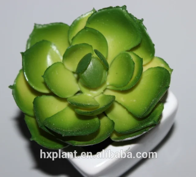 artificial green succulent bonsai ,artificial green plant.