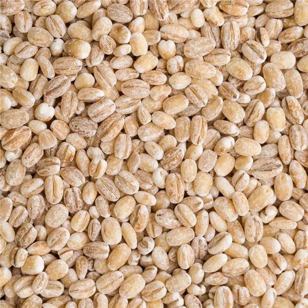 Barley-01.jpg