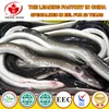 Frozen Gutted Eel - Anguilla/Japonica