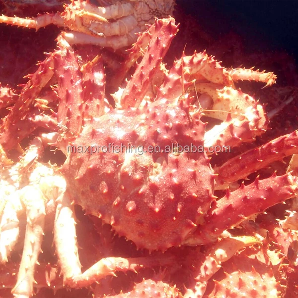 king crab pots (2).jpg