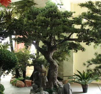 2014 Sj Ct055 High Quanlity Pine Tree Plastic Welcoming Pine Tree