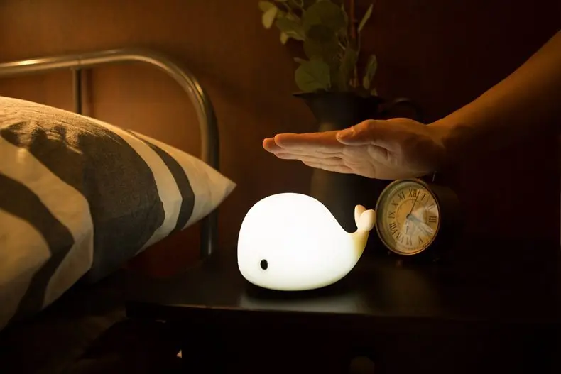 Soft Silicone LED dolphin night light Colorful with tap control and color change