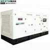 220v 380v Dual Way Voltage 100 kw Power Generator Diesel
