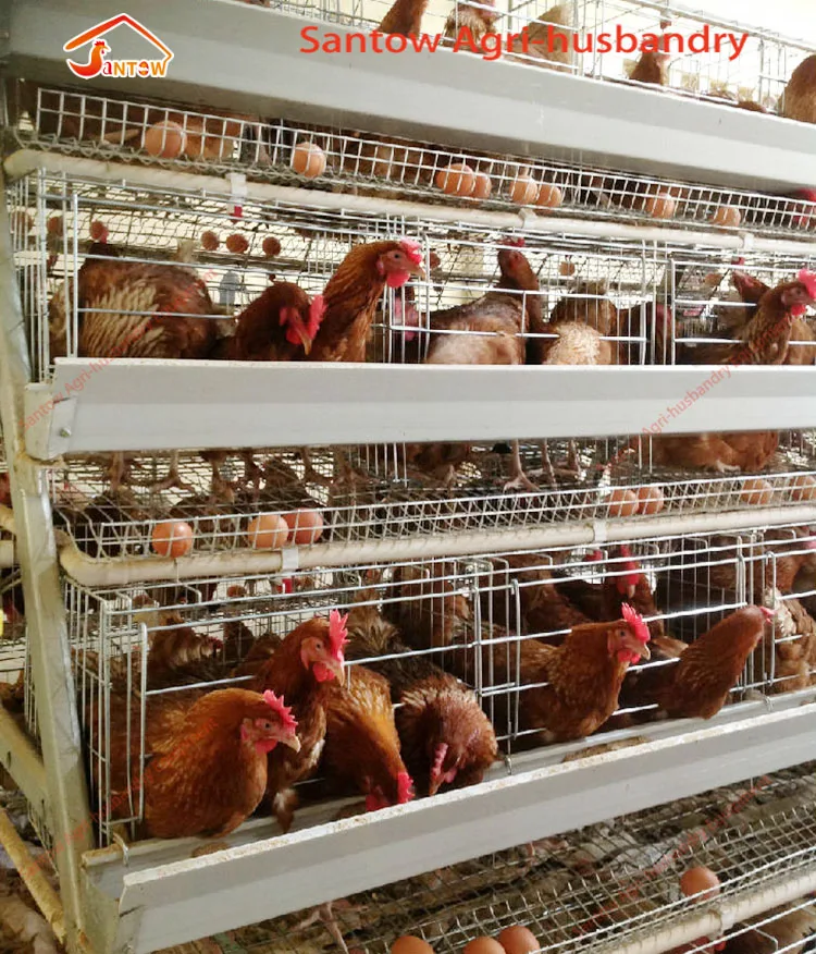 A Type 3 Tiers Pyramid Chicken Cage Design For Kenya Nigeria Chicken