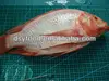 /product-detail/w-r-frozen-red-tilapia-iqf-wgs-wggs-795645463.html