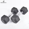 cast iron fitness equipment round head Rubber Dumbell/rubber hex dumbbell