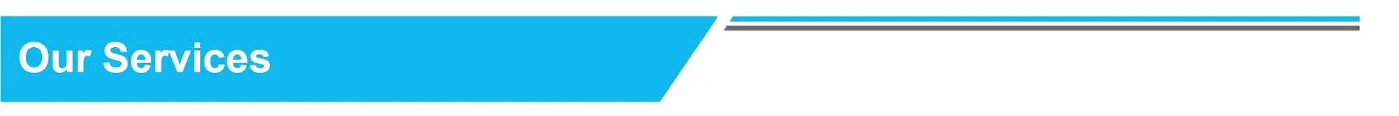 Our services.jpg