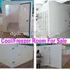 cool room to store egg