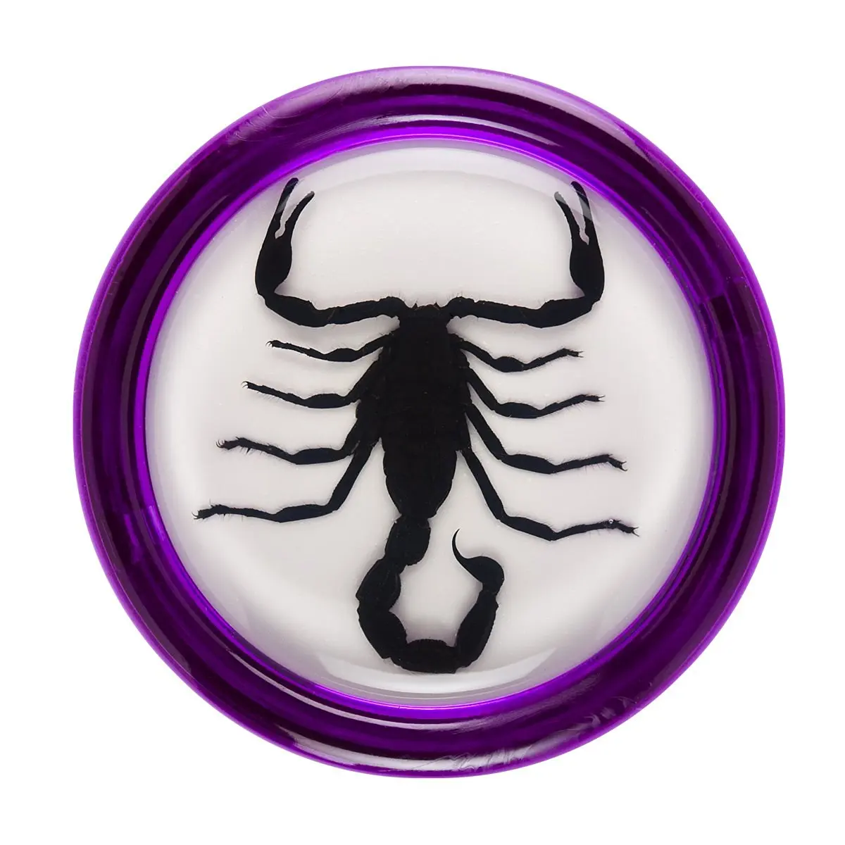 Пурпурный Скорпион