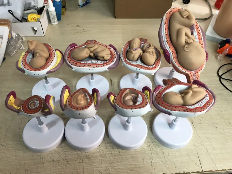 QQ20190122094024 .jpg