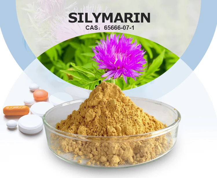 Silymarin-1_01.jpg