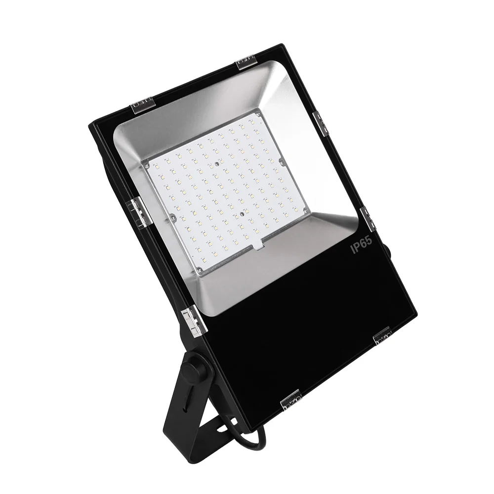 AC85-285V DC12V DC24v 100 watt led flood light