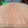 Linyi factory 0.30mm bintangor wood veneer face veneer/canadian maple wood veneer for sale