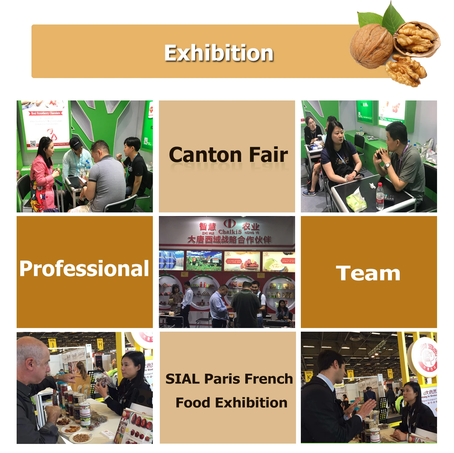 China Red Date With Walnut Raw Meat Nuts Exporters