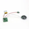 Factory directly magnetic switch custom recordable music sound module chips