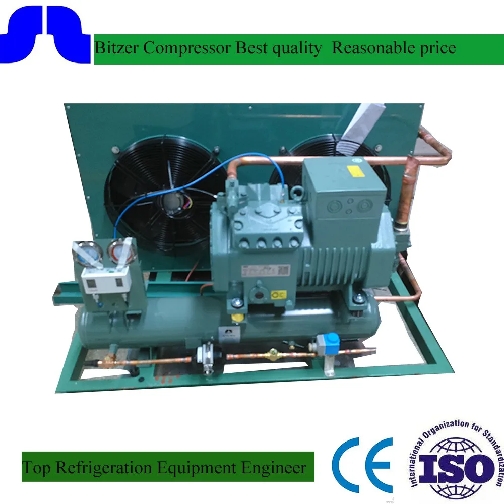 Bitzer Compressor On Freezer Condensing Unit Food Freeze Dryers Sale