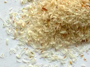 Psyllium Huskisabgolispaghula Buy Psyllium Husk Powder Product