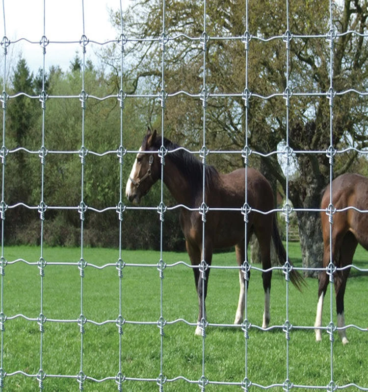 Alibaba High Zinc Galvanized Mesh Fence For Sheep,Sheep Wire Mesh Fence ...