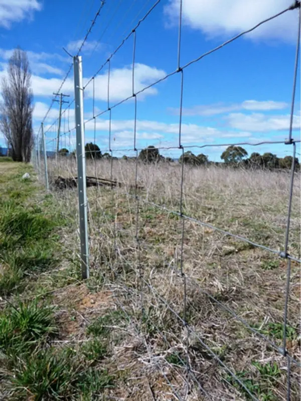 Sheep Goat Animal Application Field Fence/wild Animal Field Fence/field ...