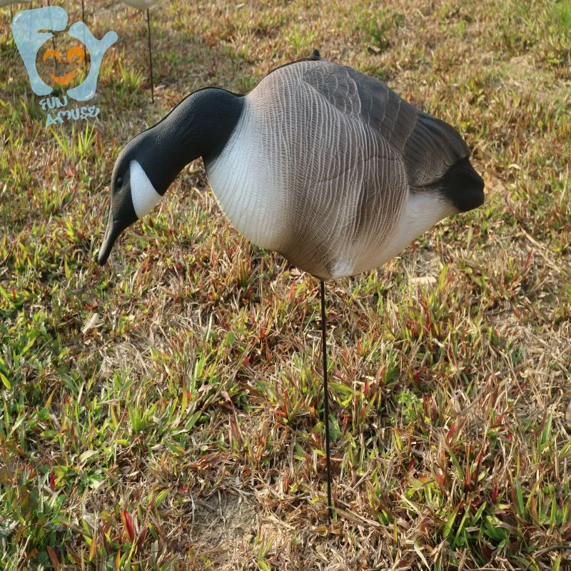 goose 2 (5).jpg