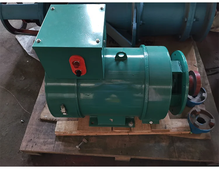 micro hydro propeller turbine