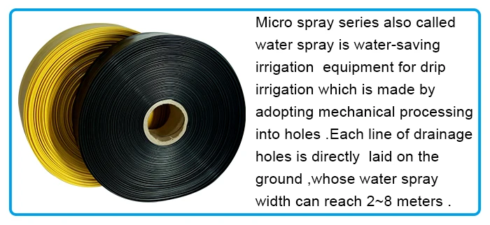 Pe micro. Pe micro