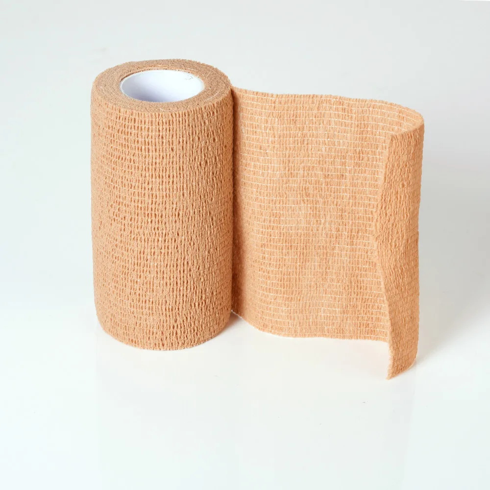 plaster bandage model toturial