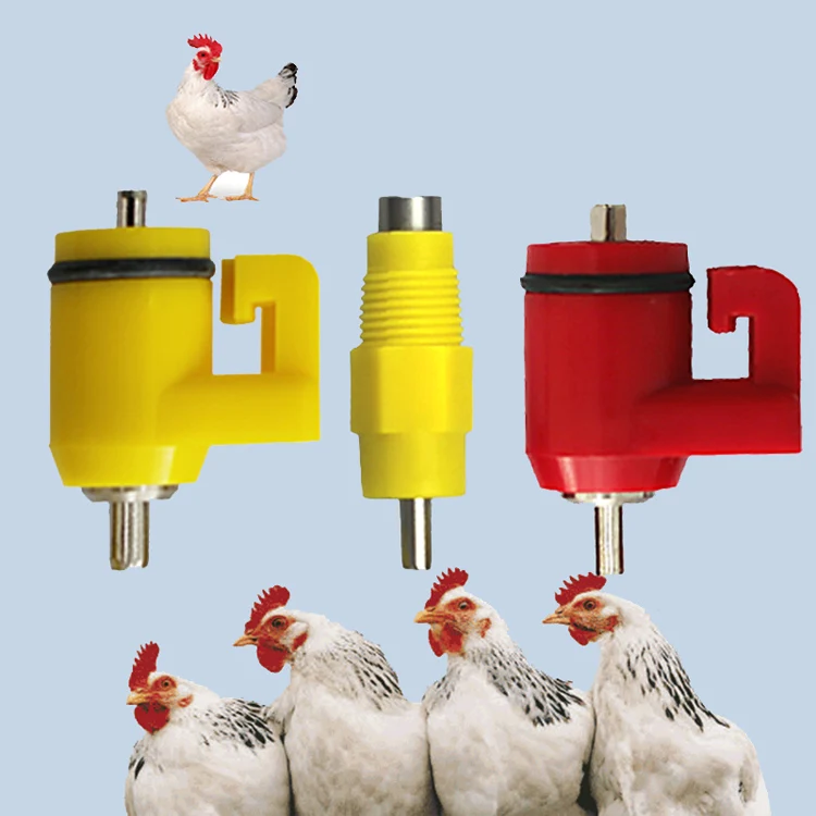 Automatic Chicken Waterer System, Nipple Drinker Supplier & Manufacturer