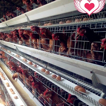 Dar Es Salaam Tanzania Poultry Farm Best Sale Chicken Cages Buy Chicken Farm Equipmentchicken Poultry Farm Equipmentchicken Farm Building Product