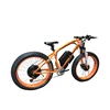 OEM customized fat tire electric bicycle bike with powerful